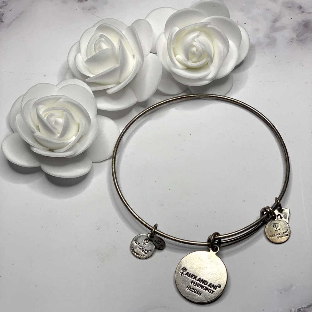 Alex and Ani young and strong charm bracelet - Picture 2 of 2